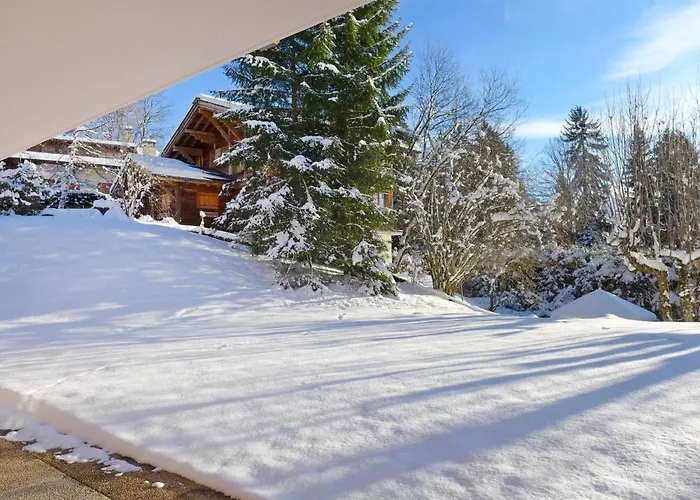 Le Miclivier B2 By Interhome Villars-sur-Ollon