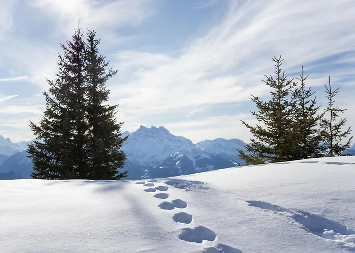 Appartement Le Miclivier B2 By Interhome Villars-sur-Ollon