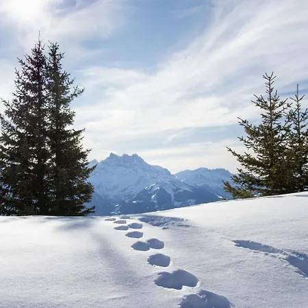 Appartement Le Miclivier B2 By Interhome Villars-sur-Ollon